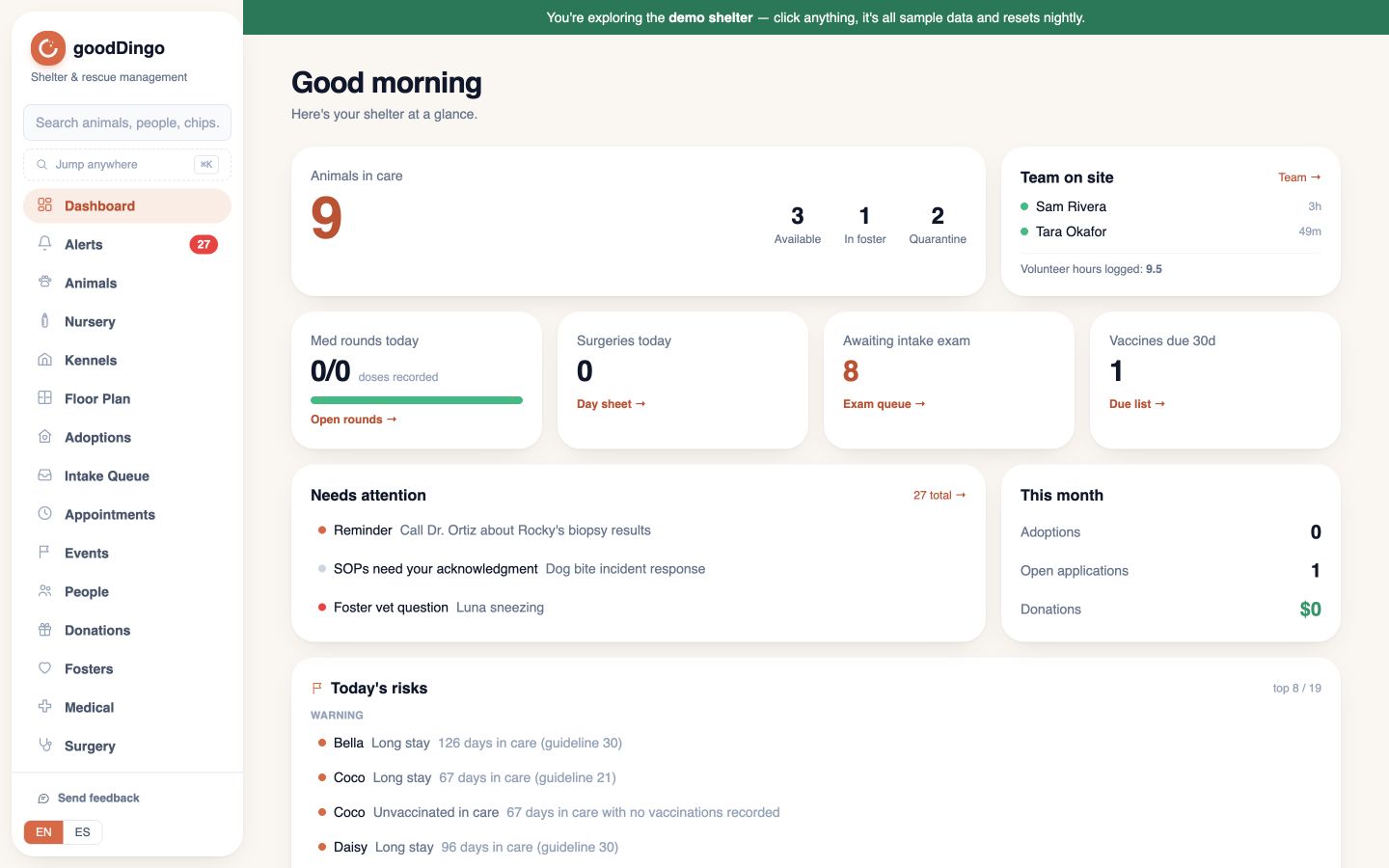 The actual goodDingo dashboard showing the sample shelter’s daily work, animal census, and upcoming tasks.